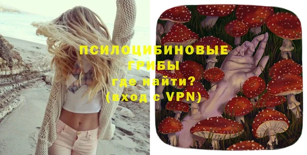 мдпв Карталы