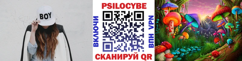 Галлюциногенные грибы MAGIC MUSHROOMS  Купить закладки  Верхний Тагил 