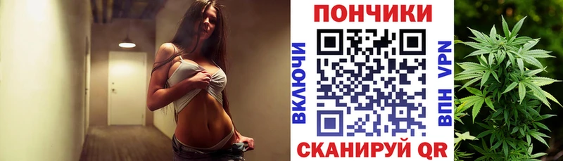 Шишки марихуана THC 21%  Купить закладки  Верхний Тагил 